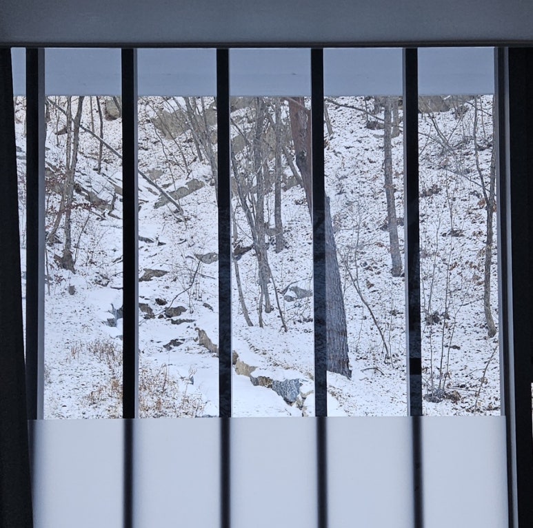 국립황정산자연휴양림 이미지