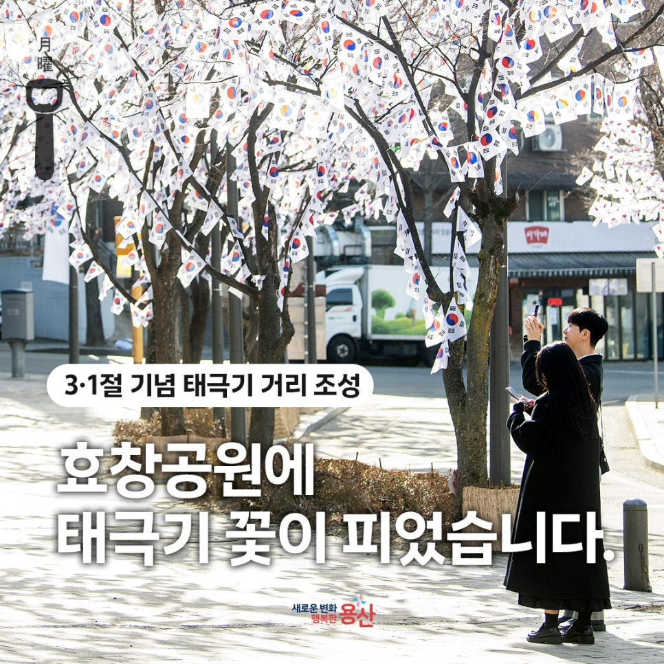 브로콜리 지역정보 관련 사진 1