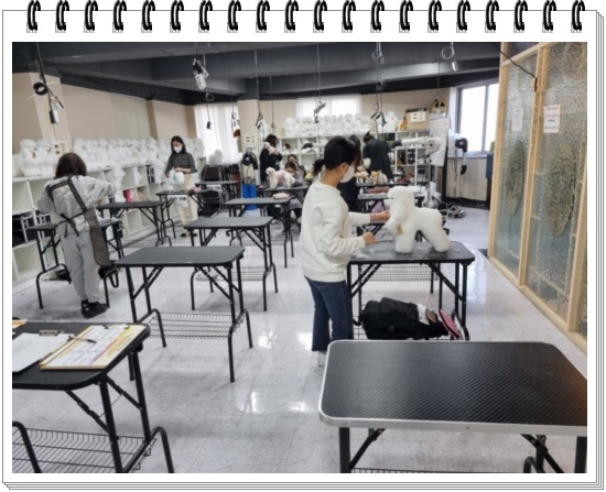 부산 강아지미용학원 수강료 지원 및 커리큘럼 안내 — 사진 3