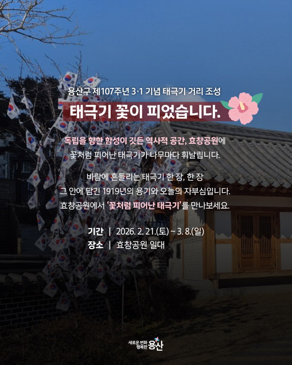 브로콜리 지역정보 관련 사진 6