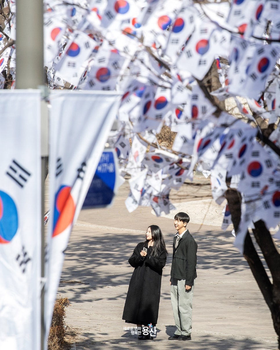 브로콜리 지역정보 관련 사진 5