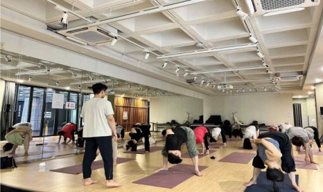 브로콜리 지역정보 관련 사진 5