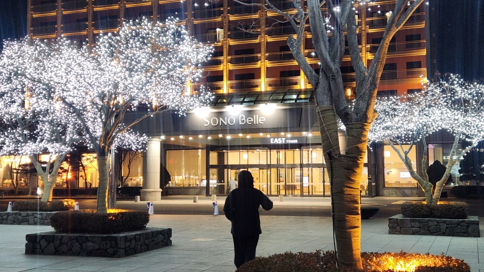 단양흑마늘누룽지닭강정 이미지