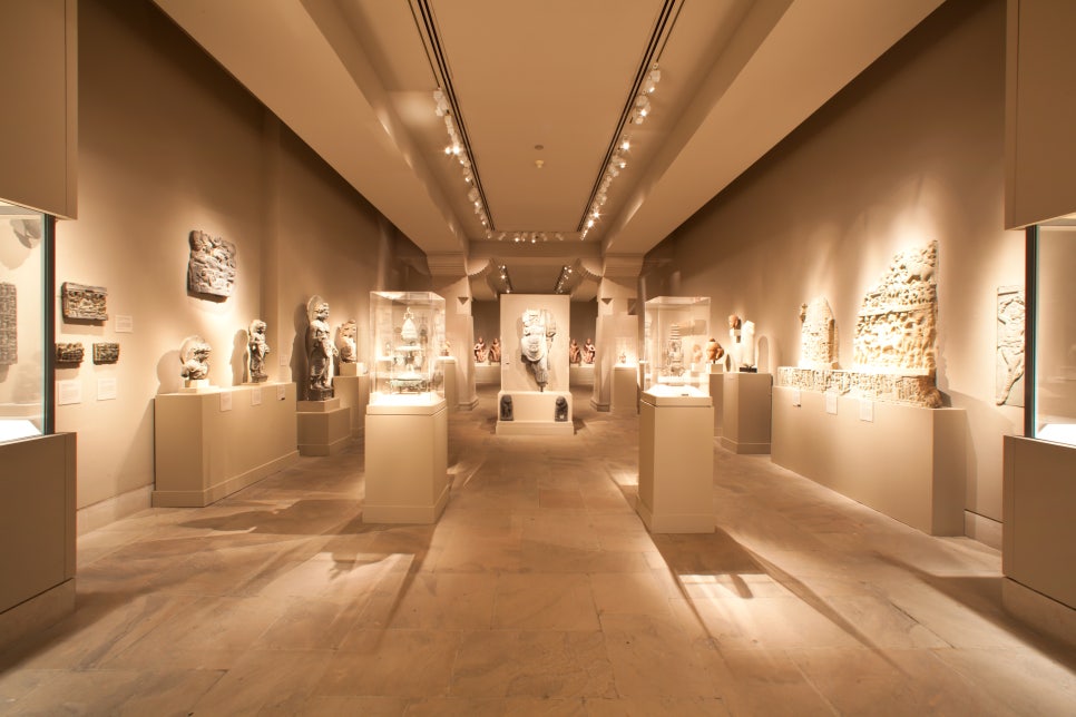 브로콜리 지역정보 관련 사진 2