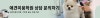 수원 애견미용 자격증 4개월 합격 비결 — 사진 8