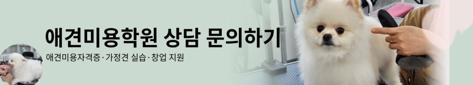 수원 애견미용 자격증 4개월 합격 비결 — 사진 8