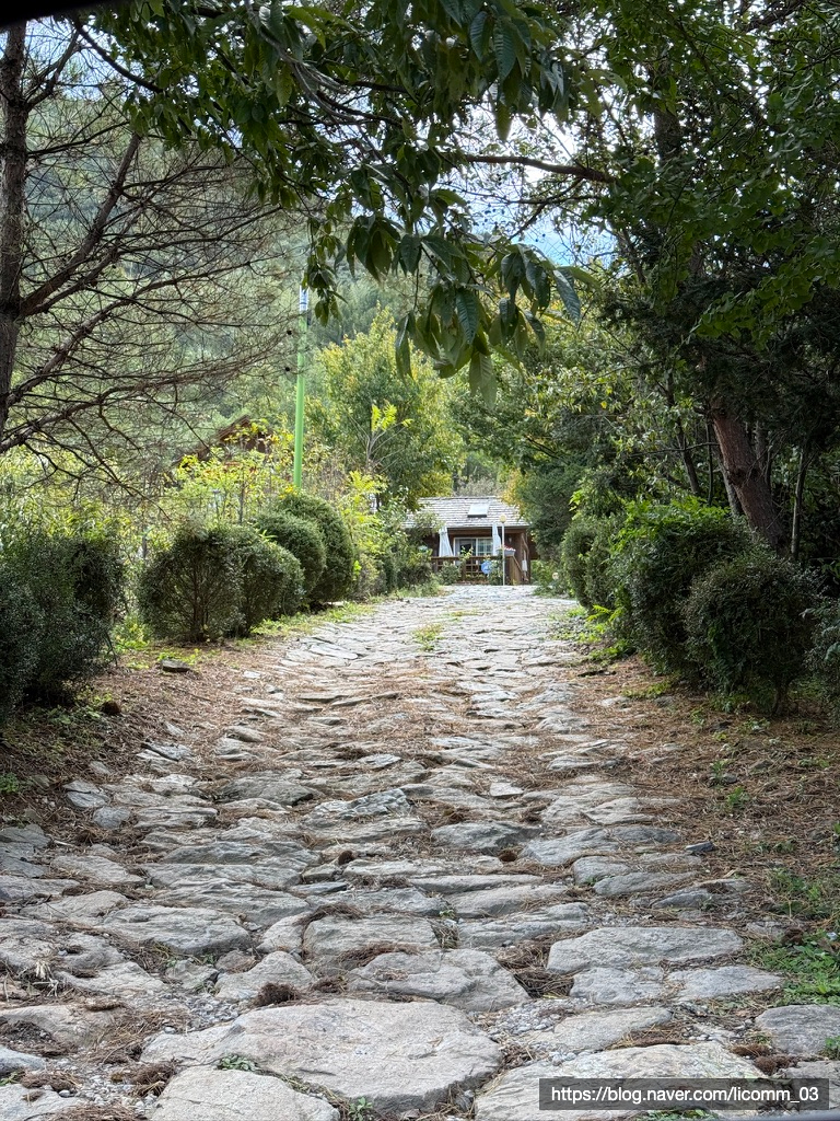 별빛좋은펜션 이미지