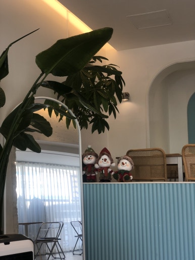 스물넷일곱 이미지