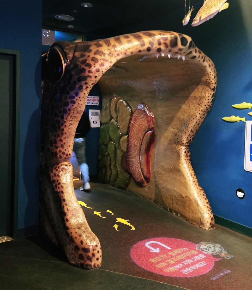 다누리아쿠아리움 이미지