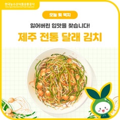 잃어버린 입맛을 찾습니다📢제주 전통 달래 김치 바로가기