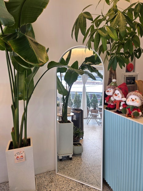 스물넷일곱 이미지