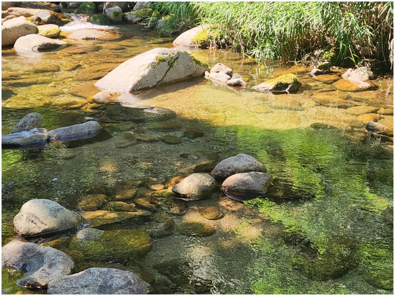 단양샬롬펜션 이미지