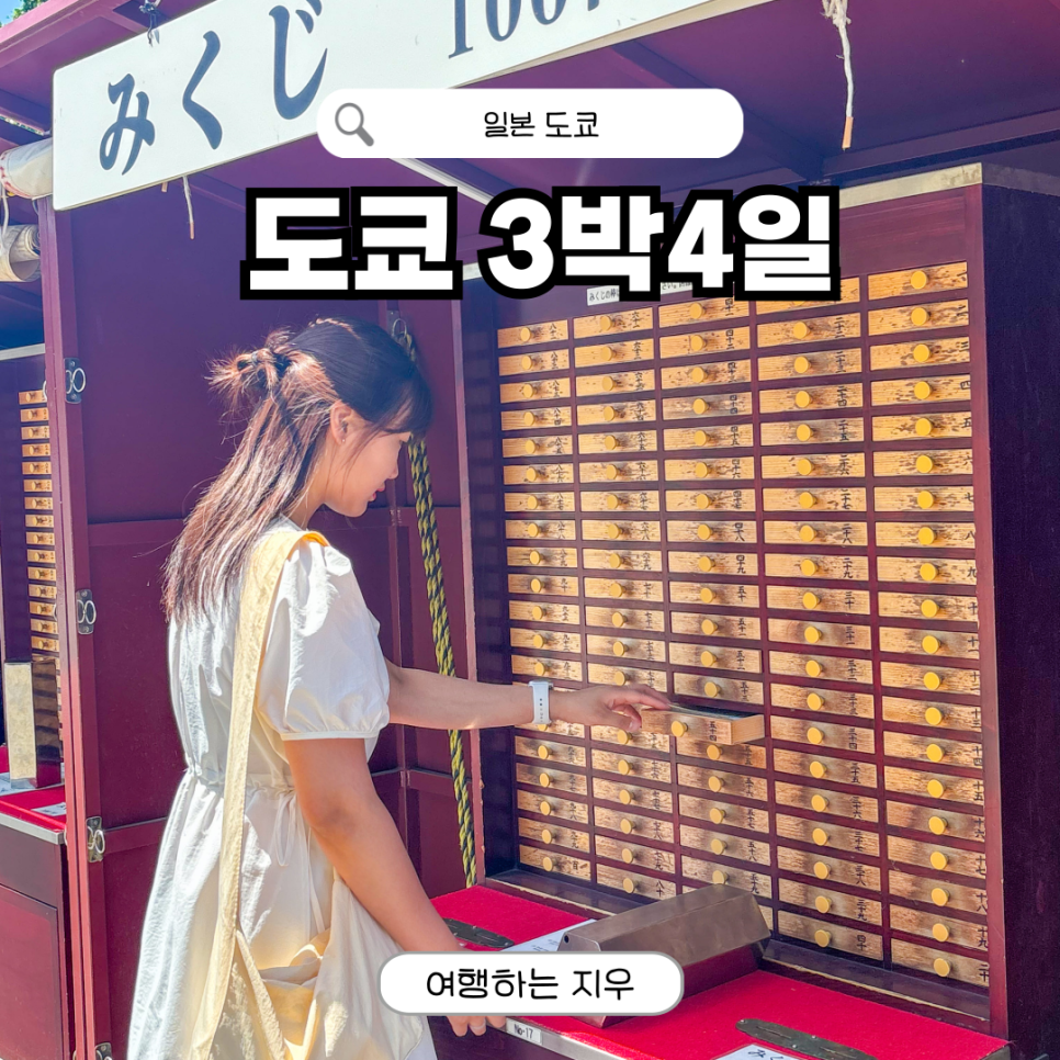 도쿄 도쿄 3박 4일 맞춤 패키지: 후지산 포함 VIP 여행