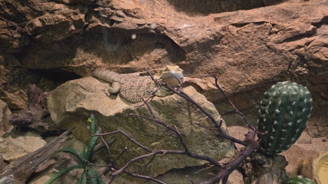 다누리아쿠아리움 이미지