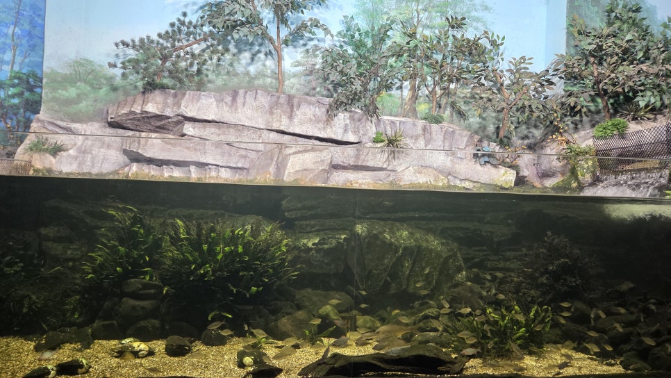 다누리아쿠아리움 이미지