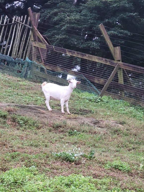 클럽이에스 제천리조트 이미지