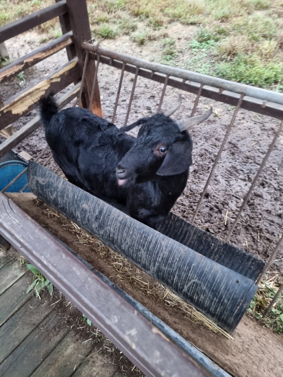 클럽이에스 제천리조트 이미지