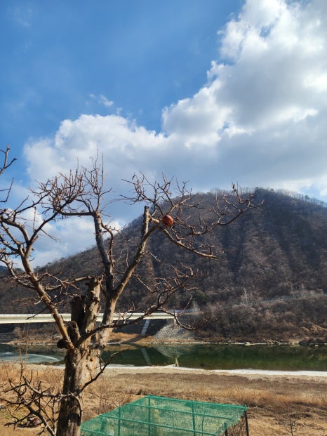 카페아마떼 영월점 이미지