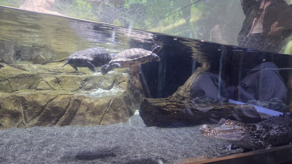 다누리아쿠아리움 이미지