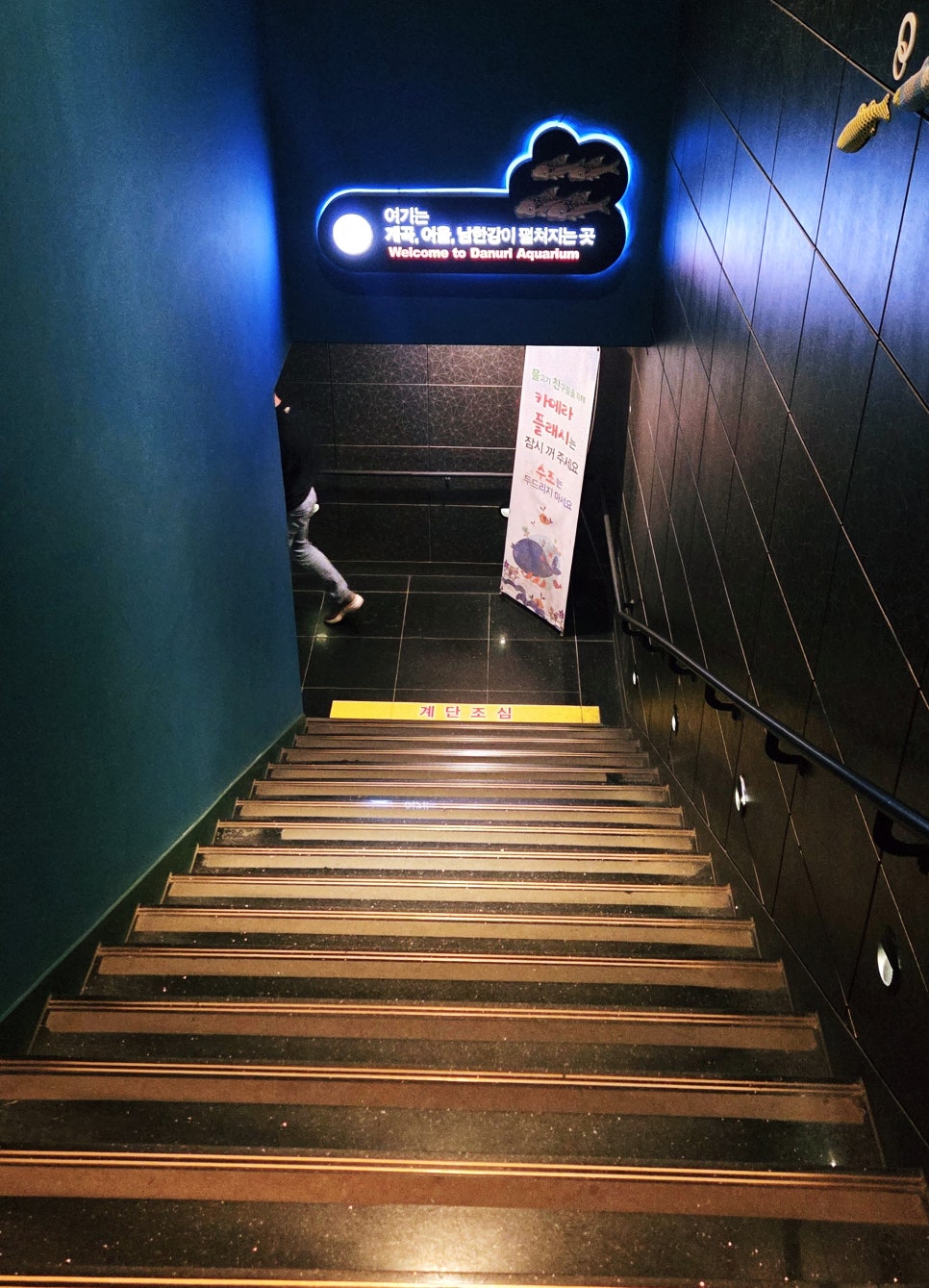 다누리아쿠아리움 이미지