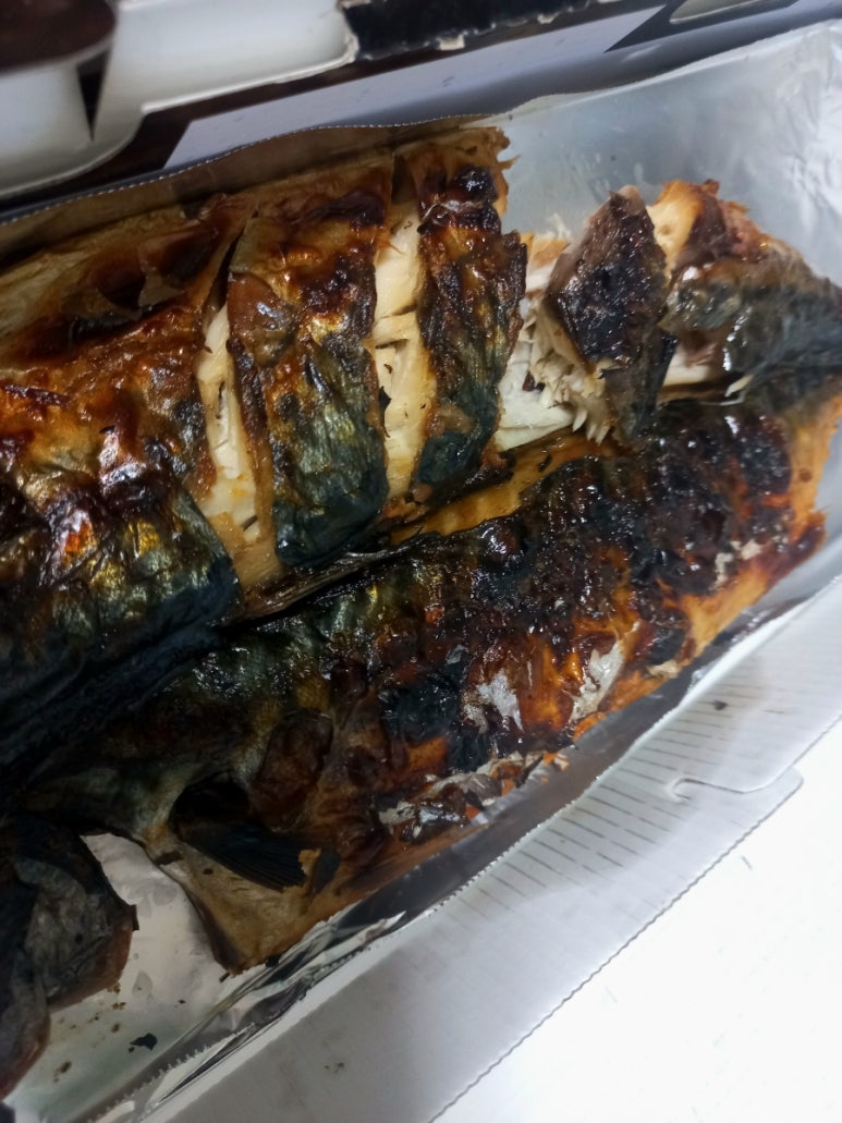 털보고된이 대표 사진