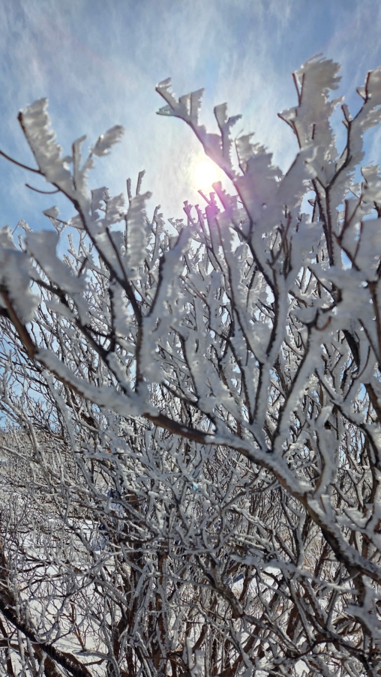 소백산국립공원 어의곡코스 이미지