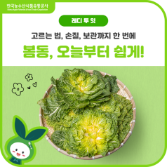 사 놓고 망설이기는 그만! 봄동 200% 즐겨보기 바로가기