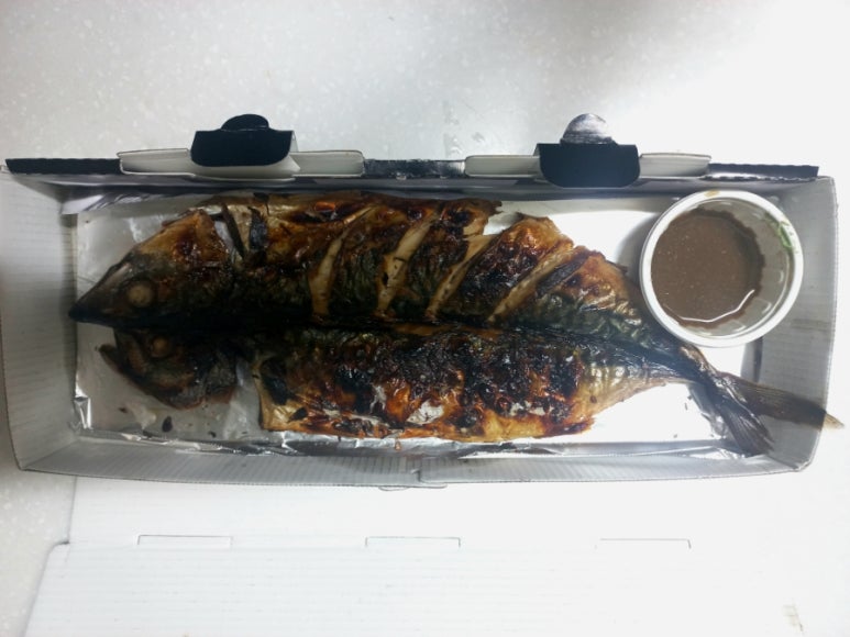 털보고된이 사진 2