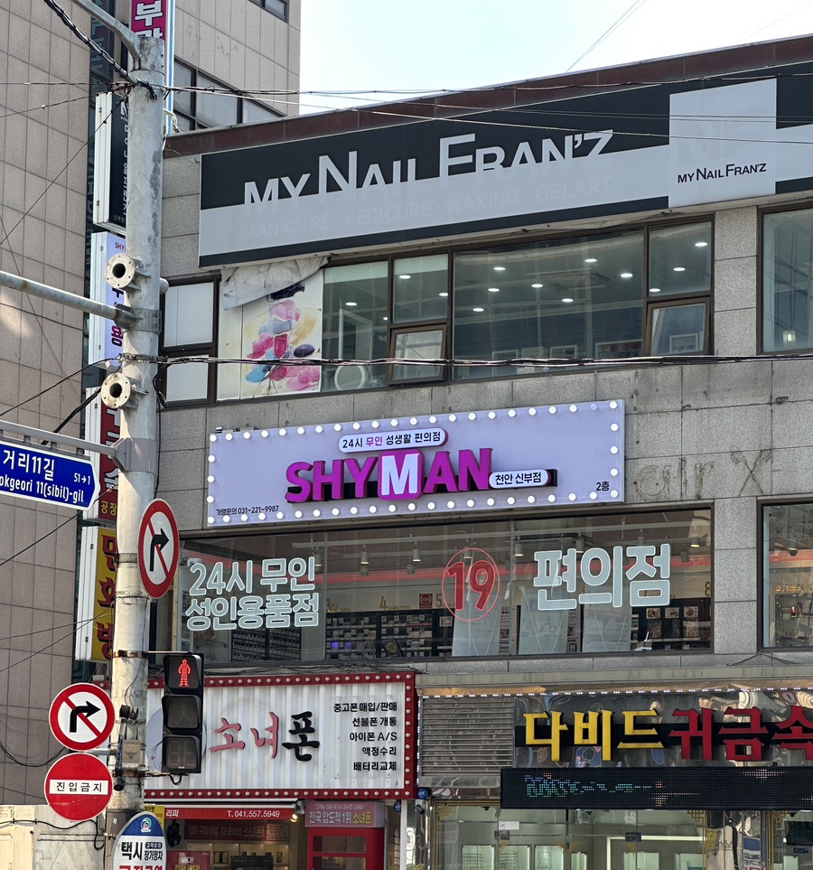박씨물고온제비 사진 3