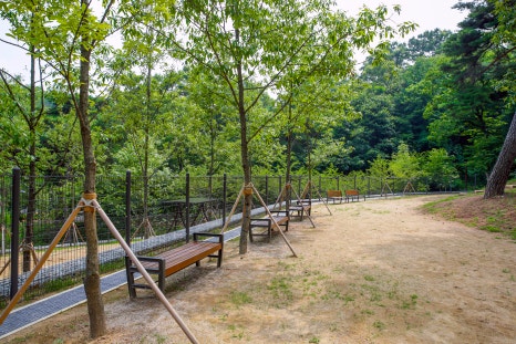 브로콜리 지역정보 관련 사진 4