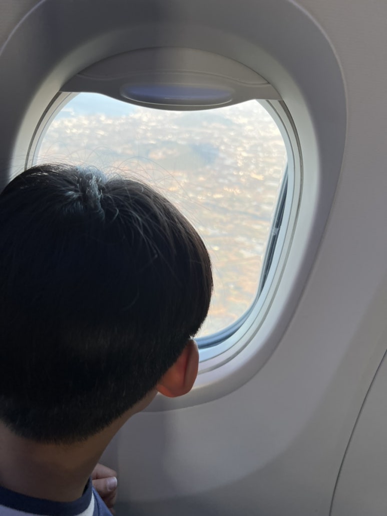 춘하추돈 사진 6