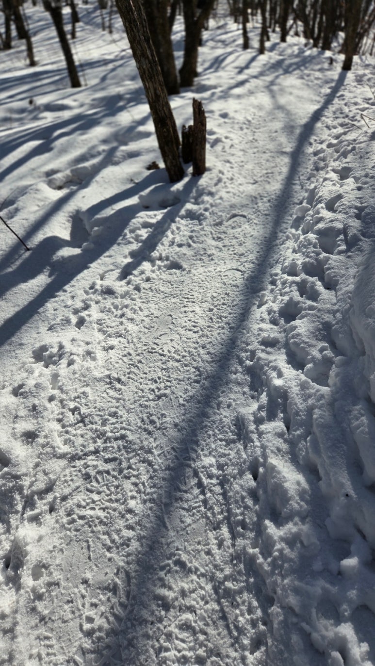 소백산국립공원 어의곡코스 이미지