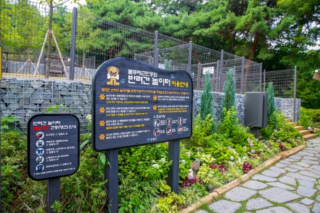 브로콜리 지역정보 관련 사진 2