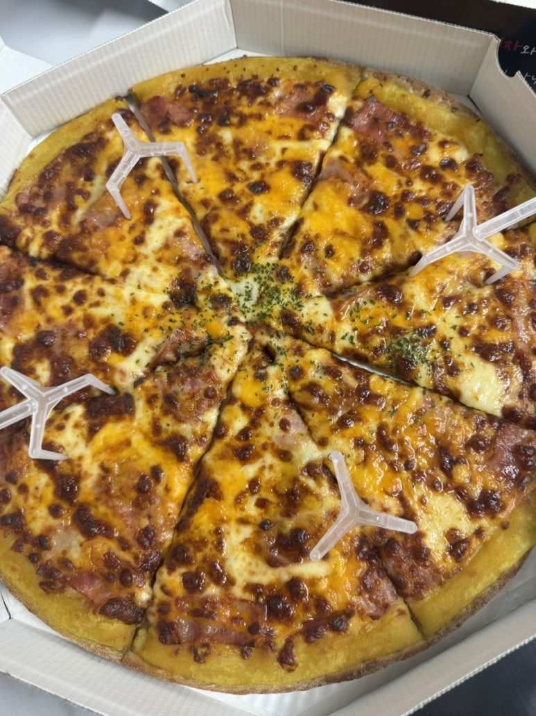피치랑 사진 7