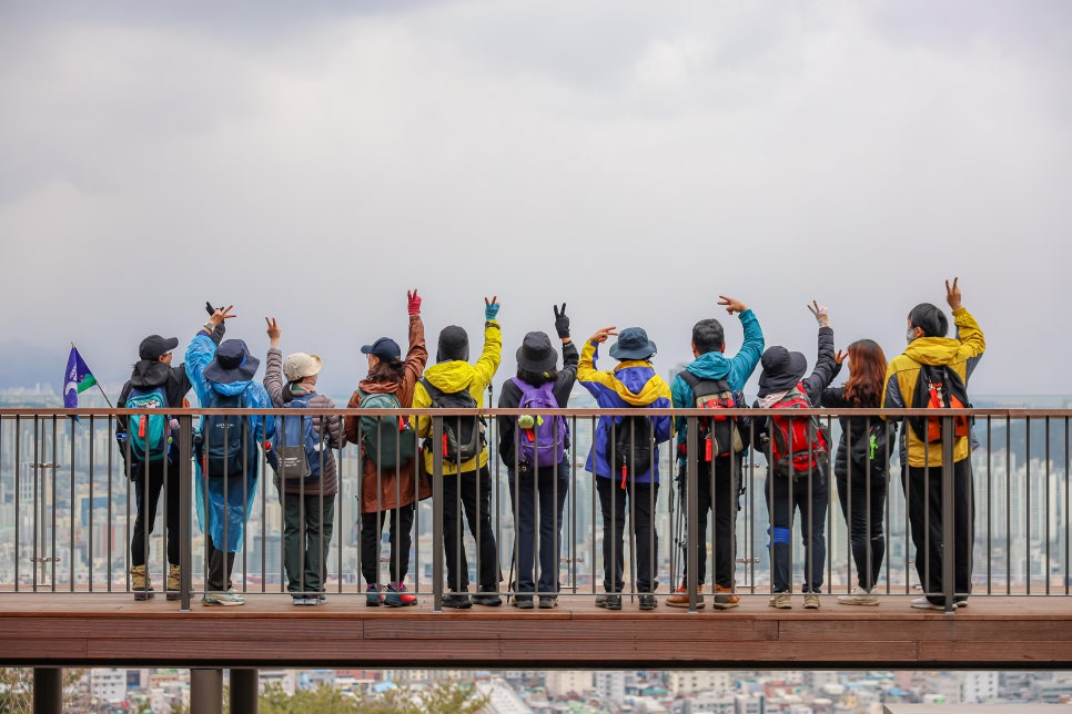 브로콜리 지역정보 관련 사진 4