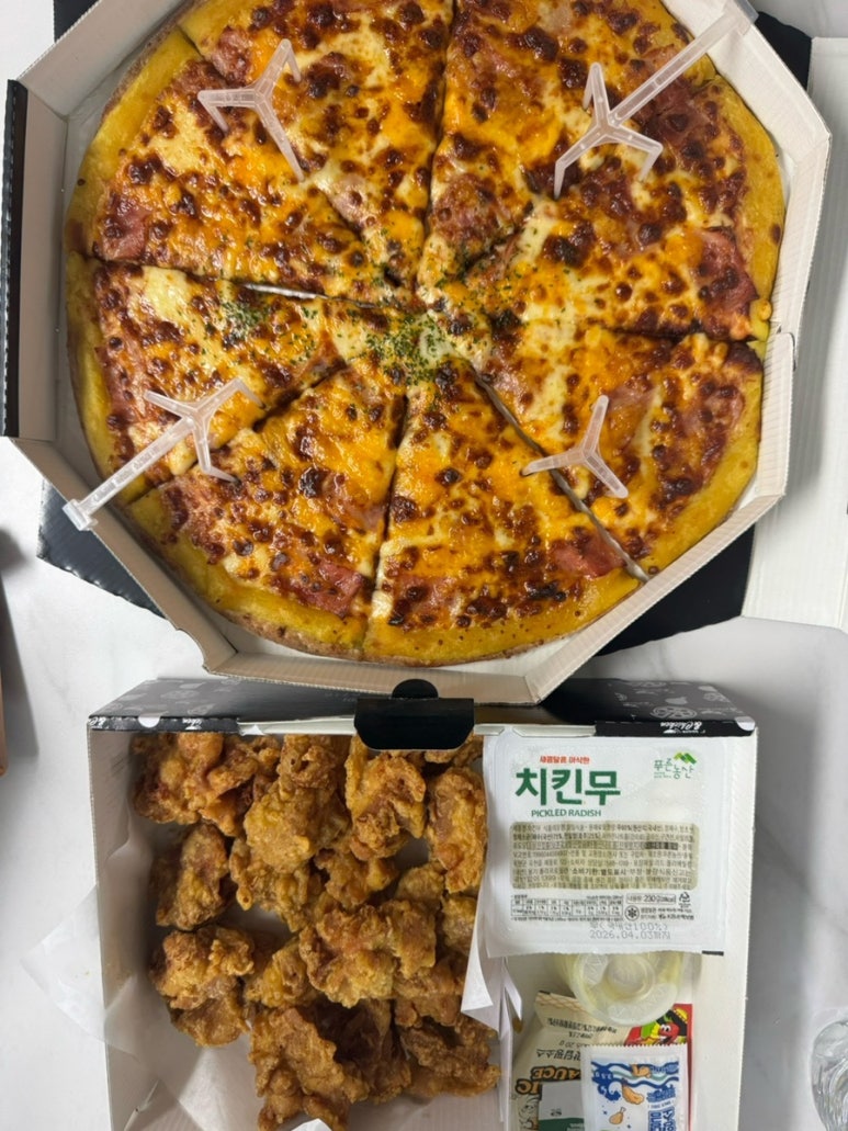 피치랑 사진 8