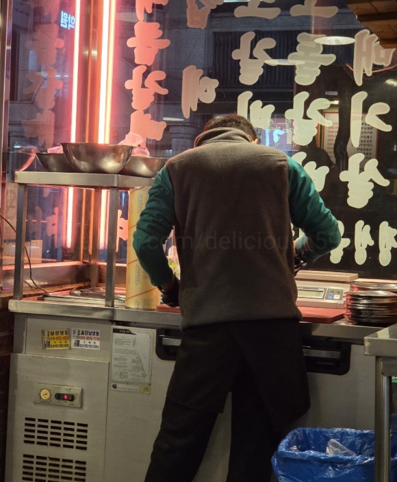 서울갈매기 사진 8