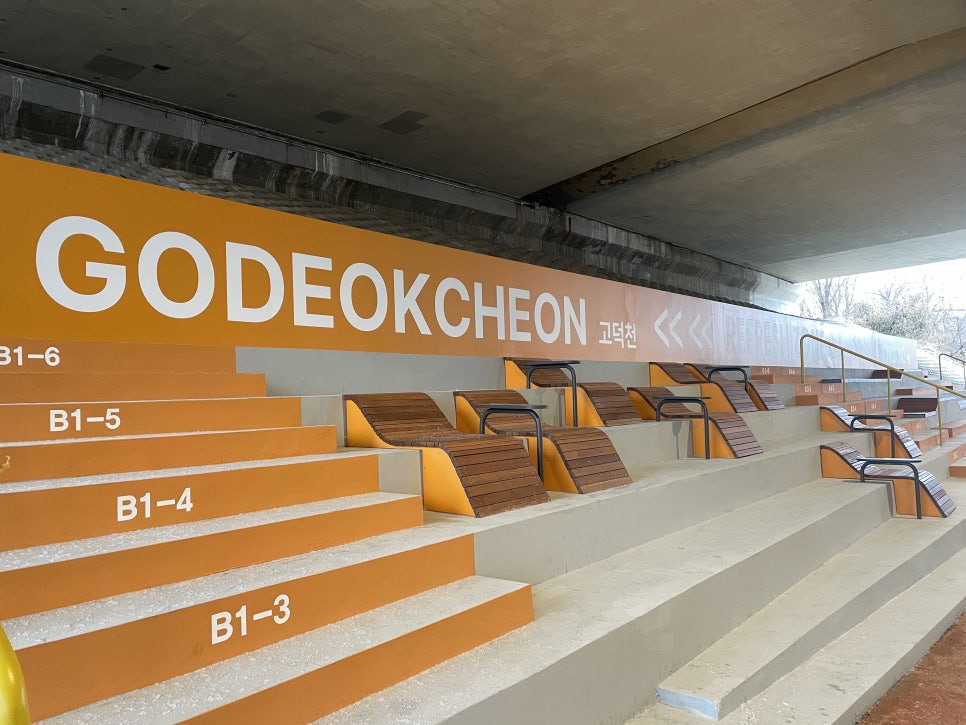 브로콜리 지역정보 관련 사진 13