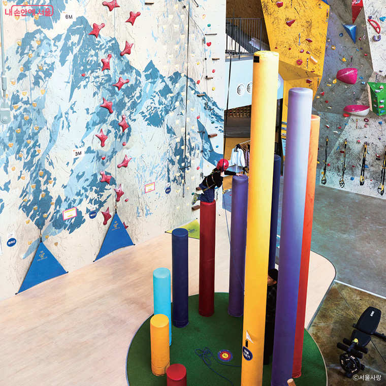 브로콜리 지역정보 관련 사진 17