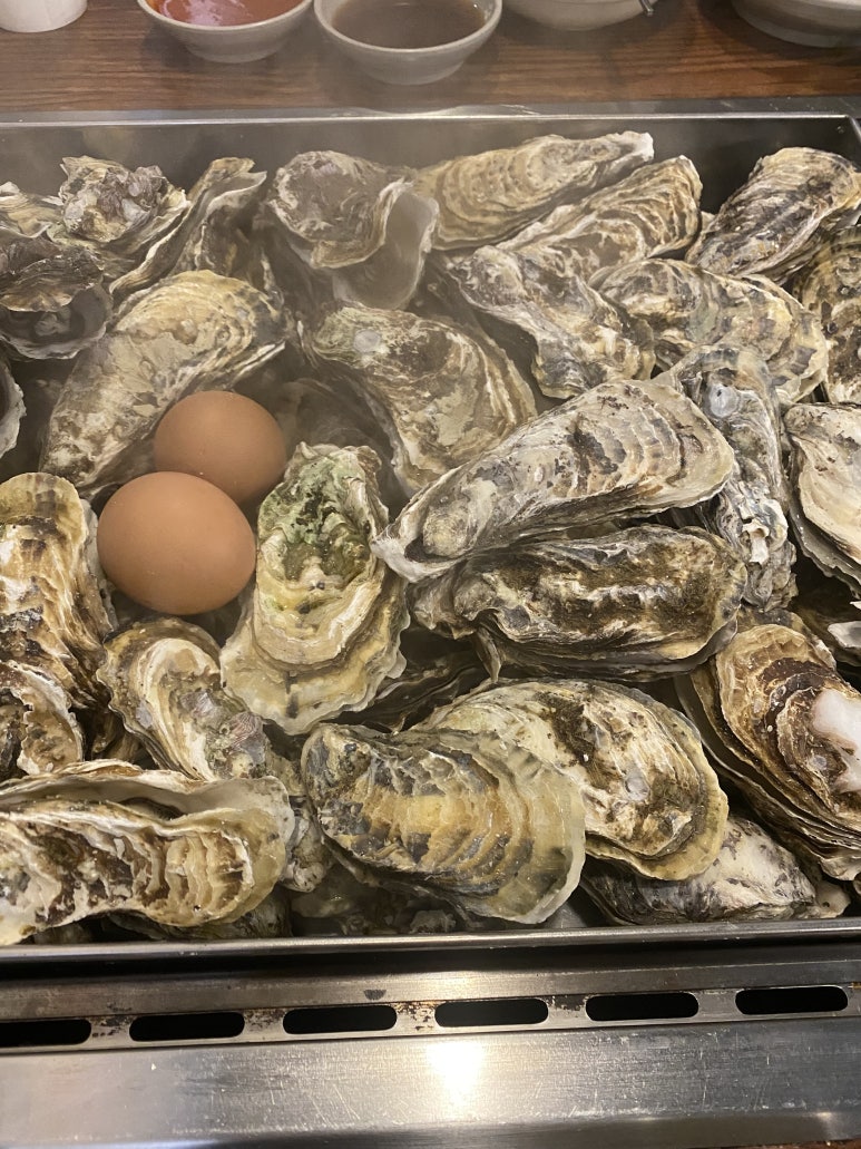 통굴통굴 사진 3