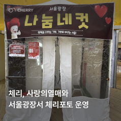 체리, 서울광장 스케이트장서 ‘나눔네컷(체리포토)’ 운영.. 일상 참여형 기부 모델 ...
