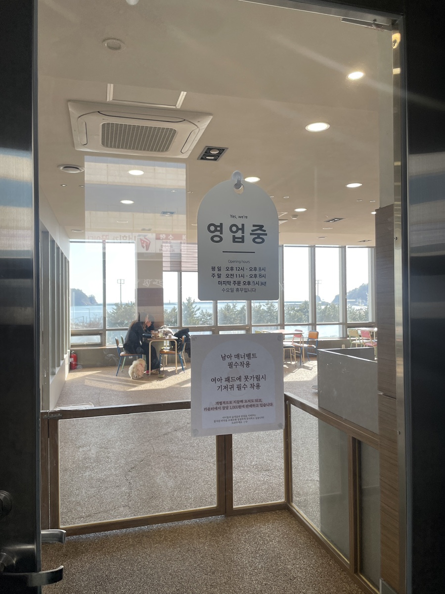 부산 애견카페 멈무아: 오션뷰 실내 운동장 추천 — 사진 11