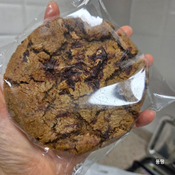플리에 사진 3