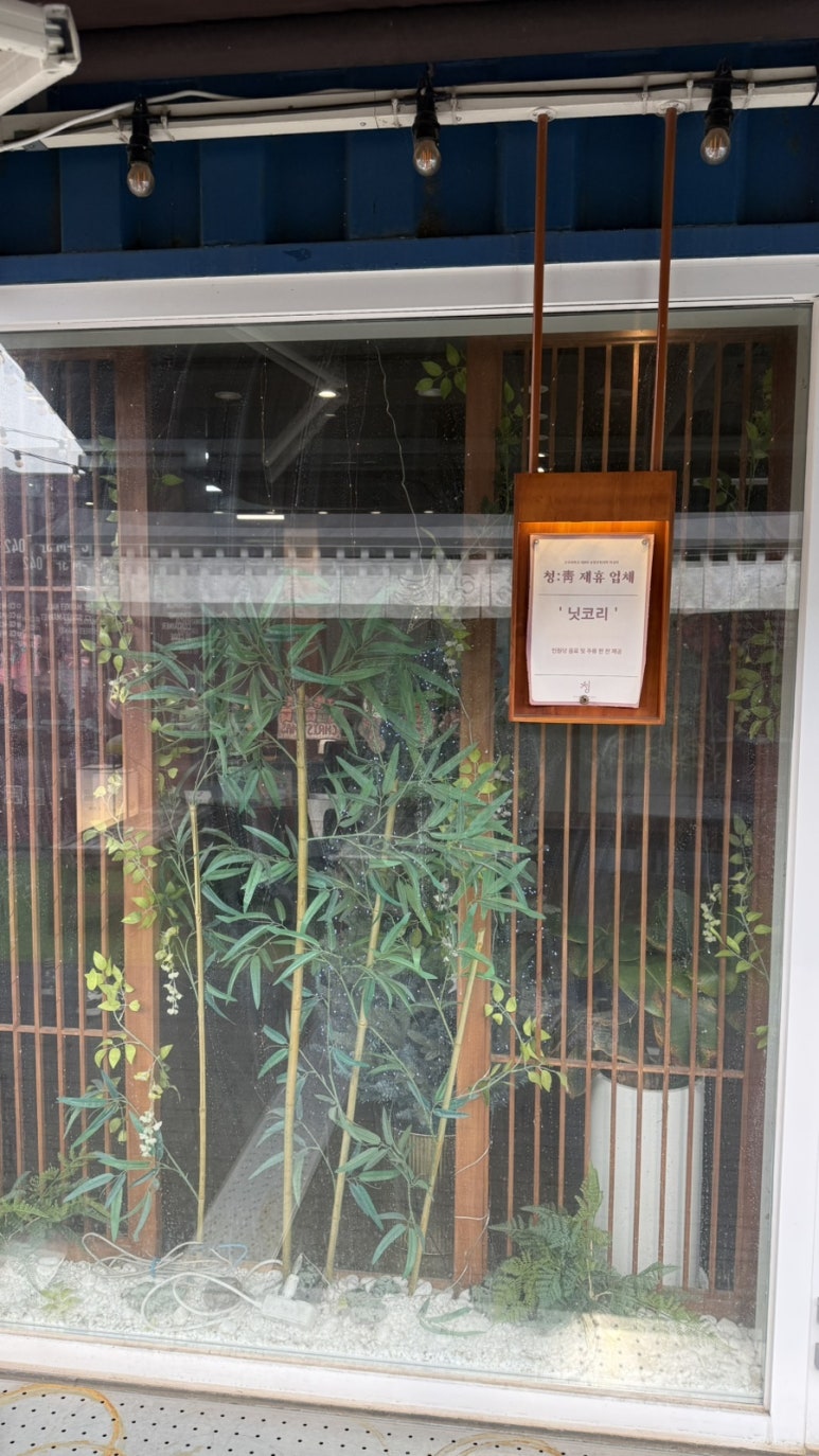 닛코리 사진 8