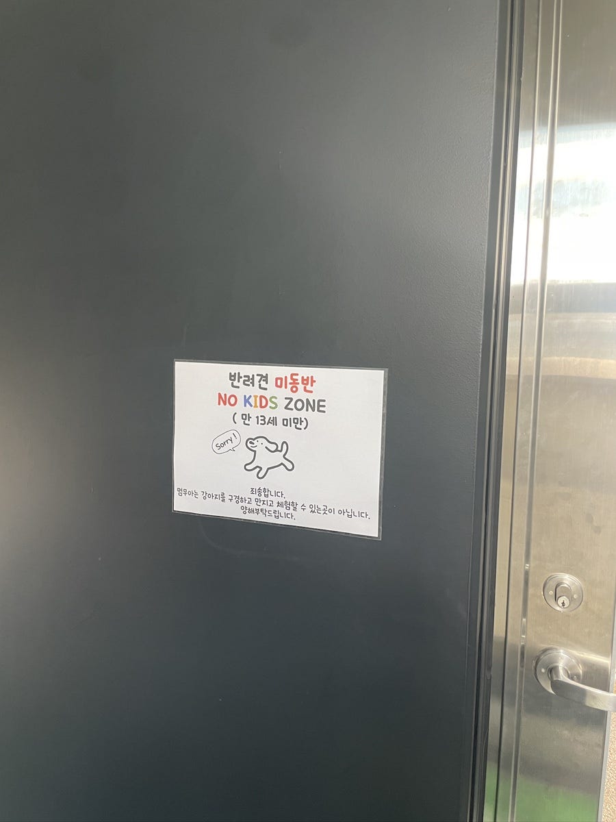 부산 애견카페 멈무아: 오션뷰 실내 운동장 추천 — 사진 10