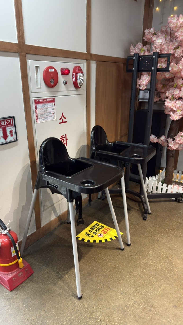 닛코리 사진 2