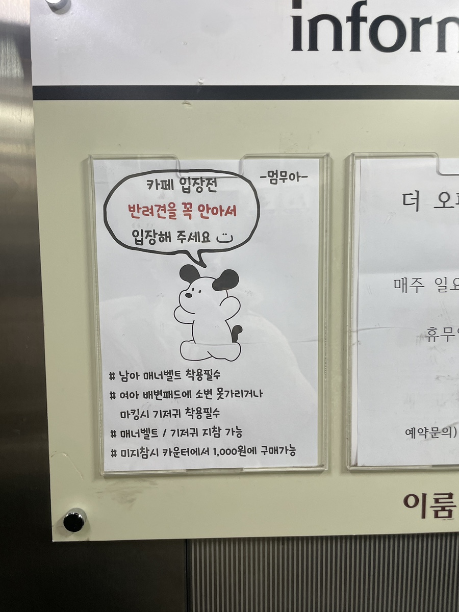 부산 애견카페 멈무아: 오션뷰 실내 운동장 추천 — 사진 9