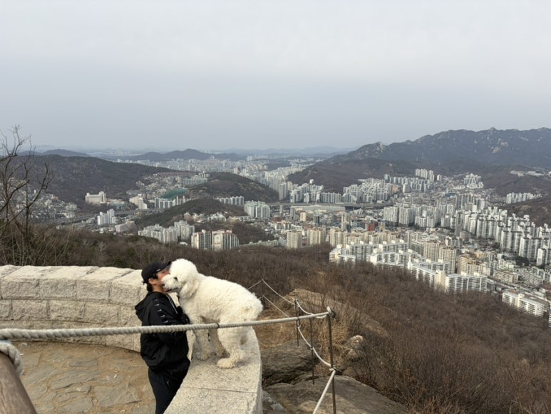 호남보신탕 사진 6
