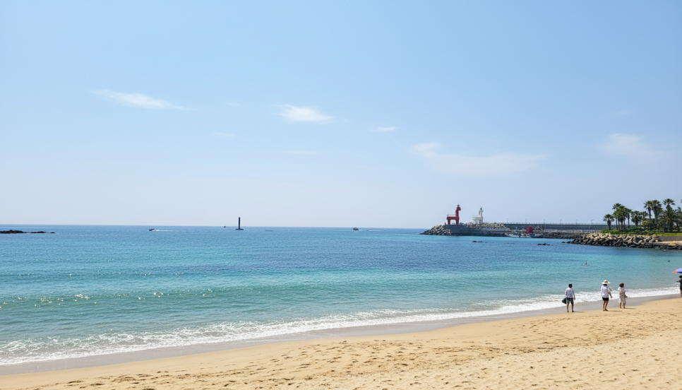 제주 2박 3일 추천 코스: 제주시 & 서쪽 알짜 동선 — 사진 2