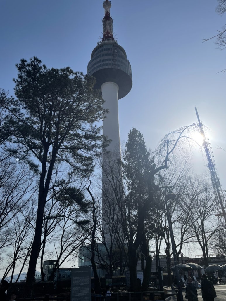 둘둘치킨 명동본점 사진 3